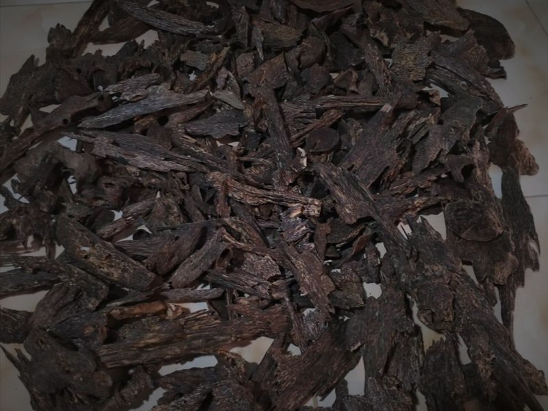 Oud wood and oils